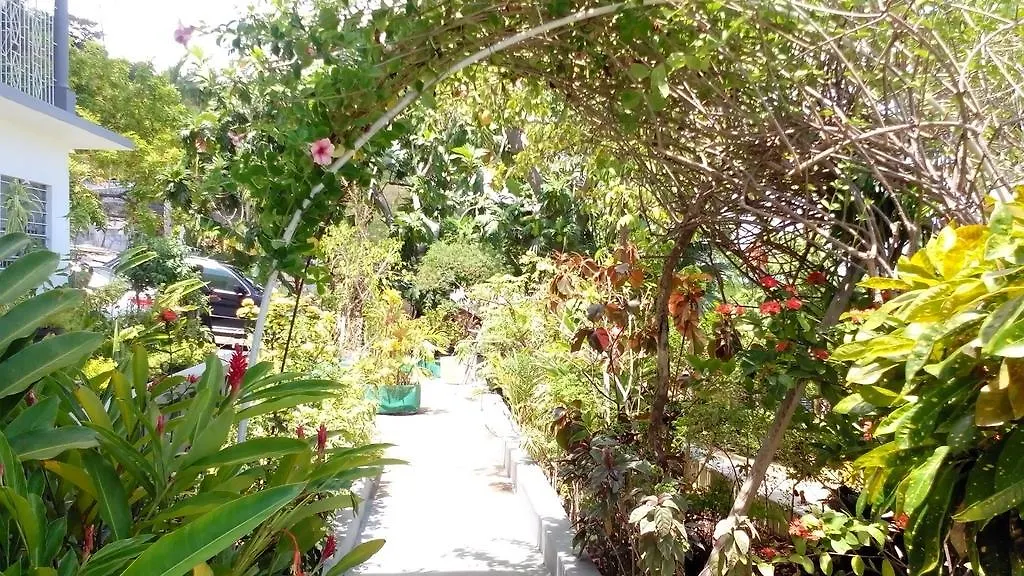 Palm View Guest House Montego Bay 2*,  Jamajka