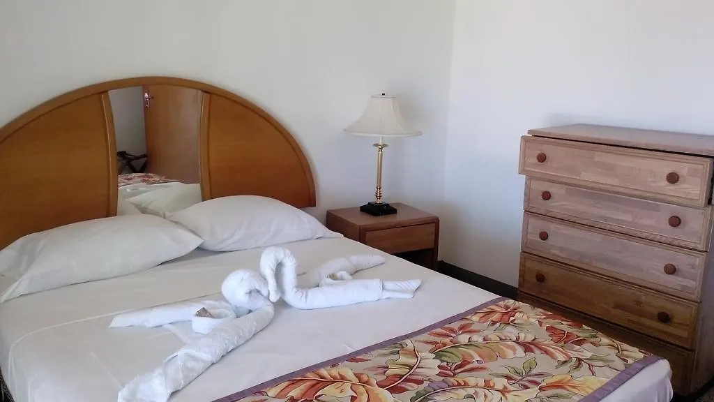 Palm View Guest House 蒙特哥贝 2*,