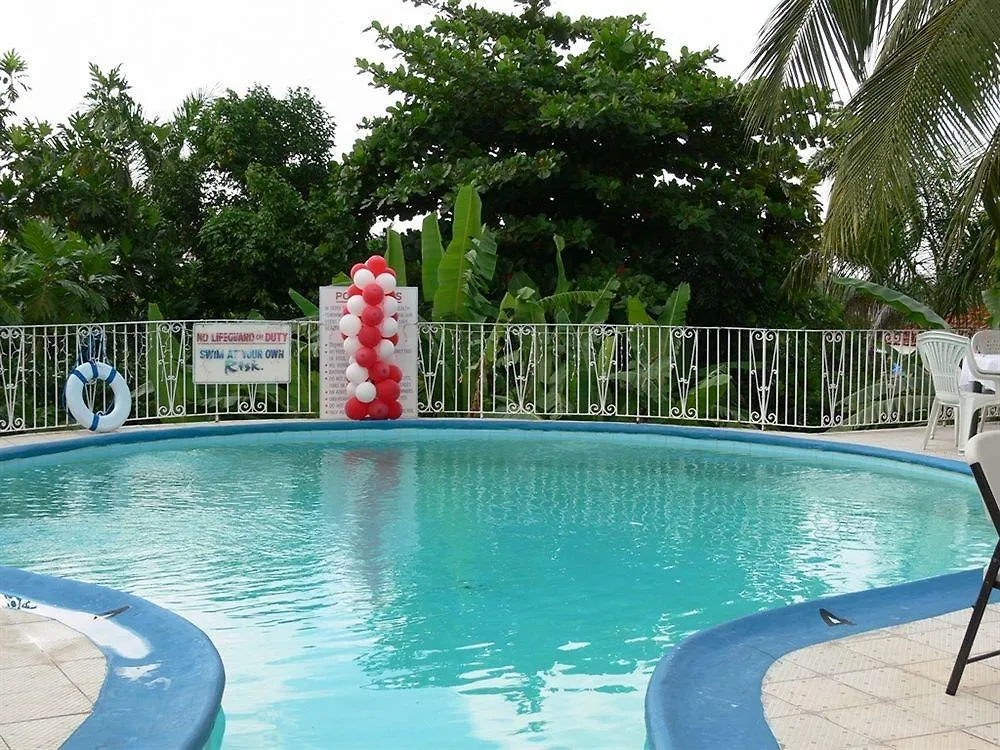 Palm View Guest House 蒙特哥贝 酒店