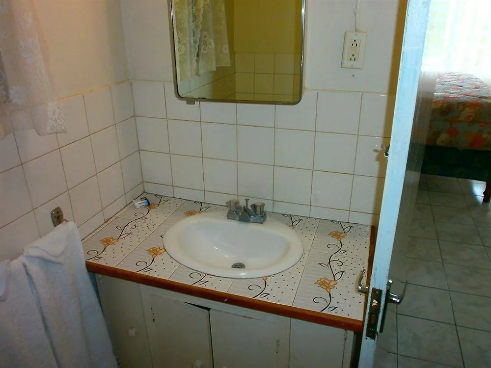 Palm View Guest House 蒙特哥贝