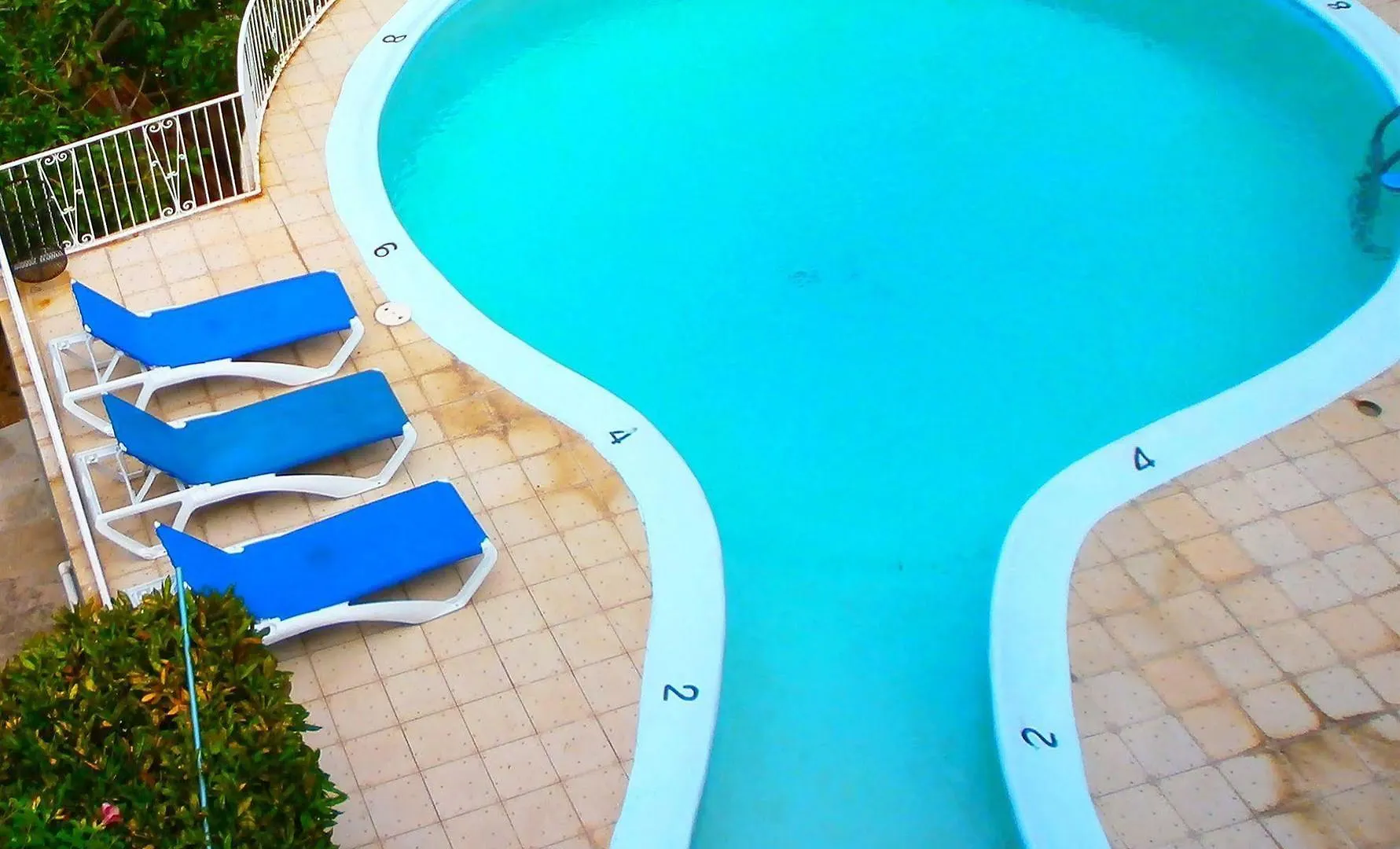 ** 酒店 Palm View Guest House 蒙特哥贝 牙买加