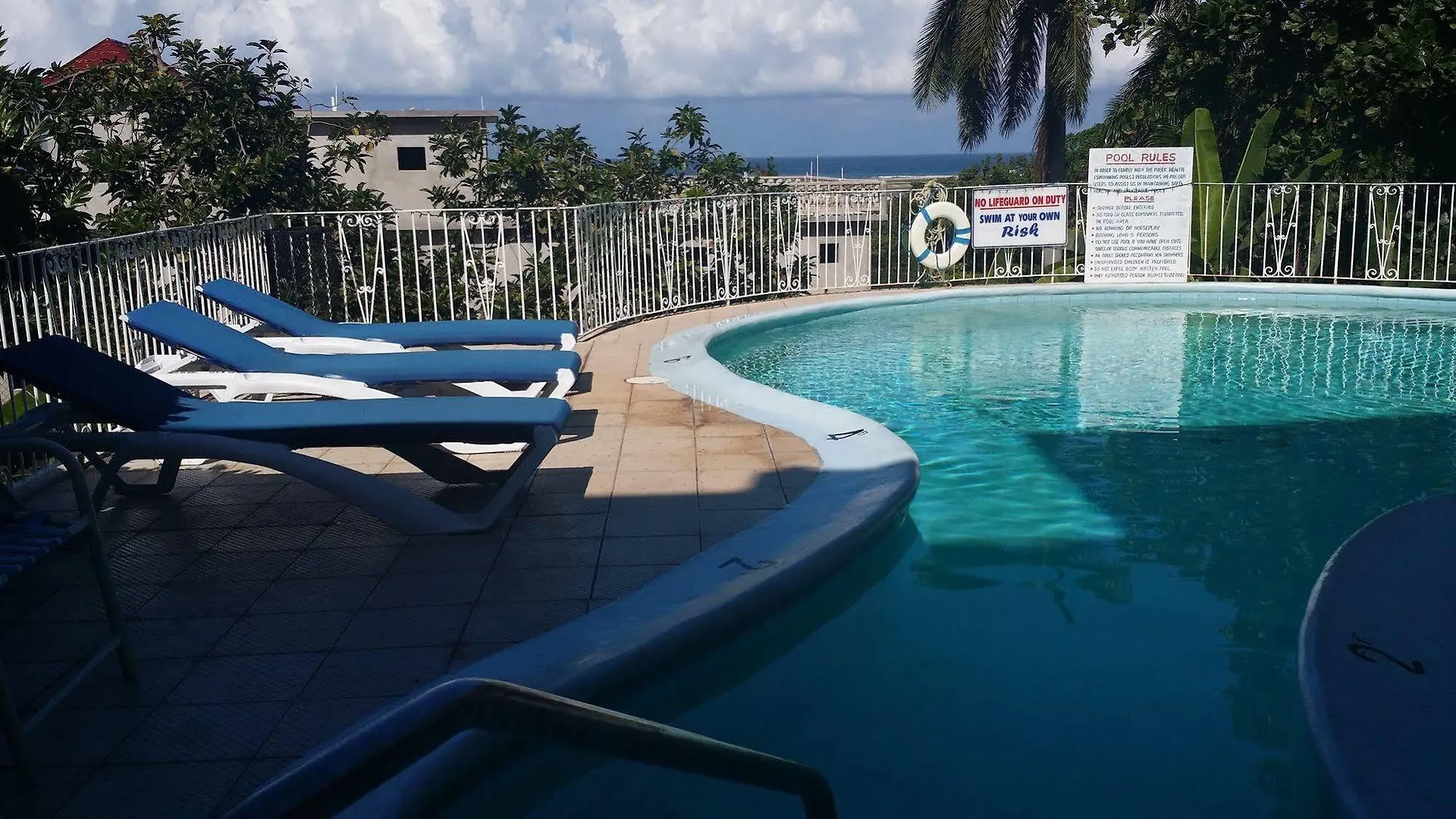 Palm View Guest House 蒙特哥贝 酒店